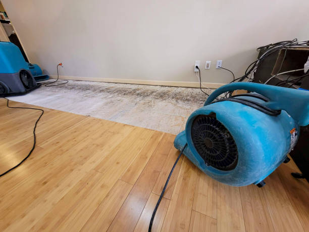 Professional Structural Drying technician working in Terra Ceia, FL